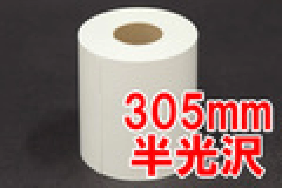 MAXIMドライミニラボ用紙30.5×100　1R 半光沢