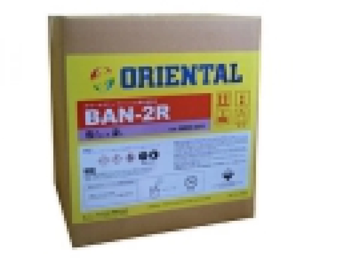 オリエンタル BAN-2R 2L×4